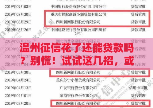 温州征信花了还能贷款吗？别慌！试试这几招，或许有转机！