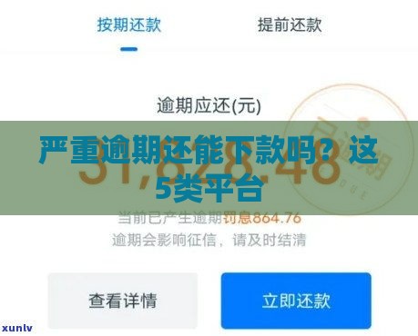 严重逾期还能下款吗？这5类平台