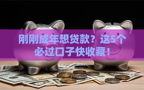 刚刚成年想贷款？这5个必过口子快收藏！