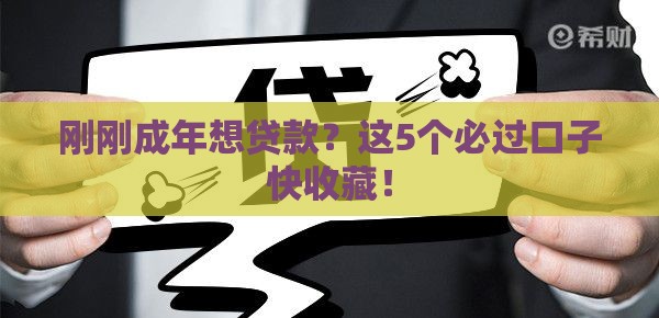 刚刚成年想贷款？这5个必过口子快收藏！