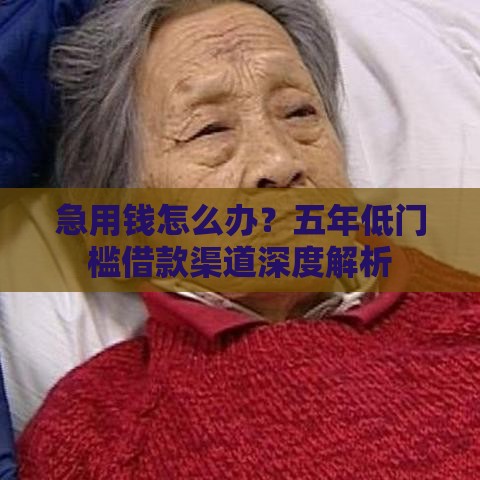 急用钱怎么办？五年低门槛借款渠道深度解析