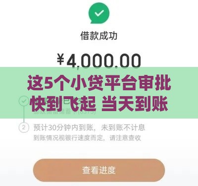这5个小贷平台审批快到飞起 当天到账不是梦 这5个小贷平台审批快到飞起 当天到账不是梦