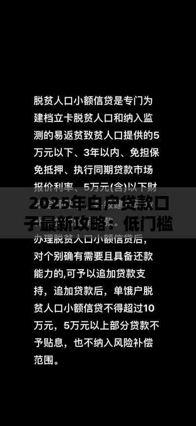 2025年白户贷款口子最新攻略：低门槛也能轻松下款！