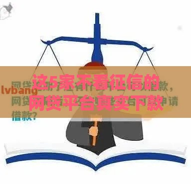 这5家不看征信的网贷平台真实下款经验