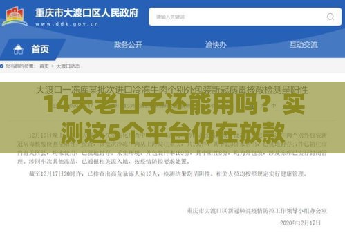 14天老口子还能用吗？实测这5个平台仍在放款