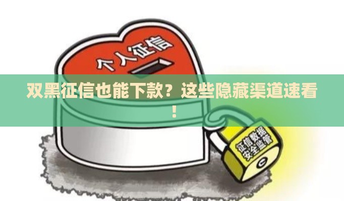 双黑征信也能下款？这些隐藏渠道速看！
