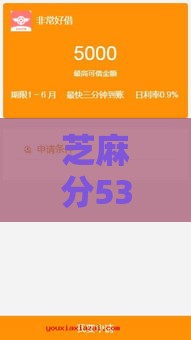 芝麻分530也能借？这些不看征信的贷款口子帮你应急！