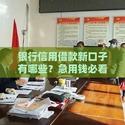 银行信用借款新口子有哪些？急用钱必看低门槛攻略！