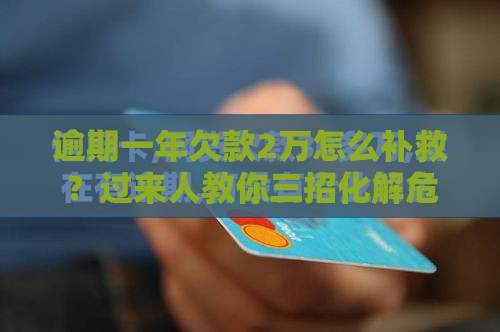 逾期一年欠款2万怎么补救？过来人教你三招化解危机
