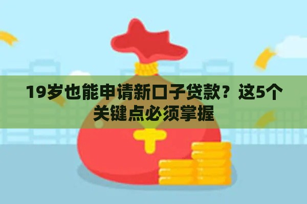 19岁也能申请新口子贷款？这5个关键点必须掌握