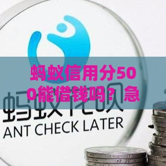 蚂蚁信用分500能借钱吗？急用钱必看这几家平台