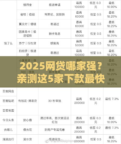 2025网贷哪家强？亲测这5家下款最快速看！