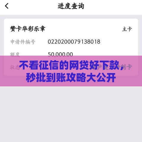 不看征信的网贷好下款，秒批到账攻略大公开