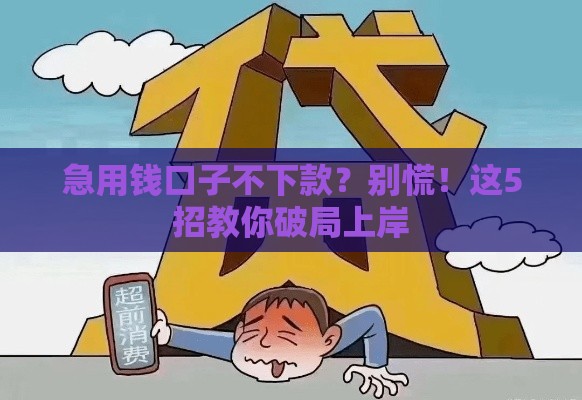 急用钱口子不下款？别慌！这5招教你破局上岸