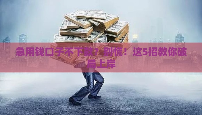 急用钱口子不下款？别慌！这5招教你破局上岸