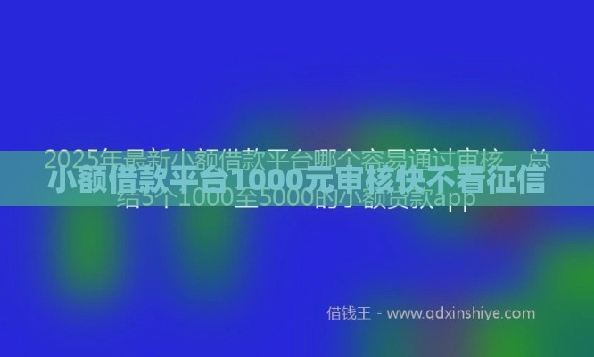 小额借款平台1000元审核快不看征信