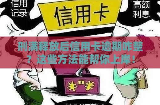 刑满释放后信用卡逾期咋整？这些方法能帮你上岸！