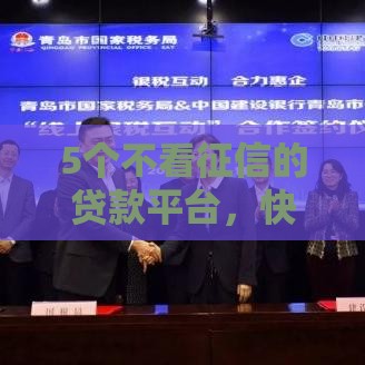 5个不看征信的贷款平台，快速到账秒批！