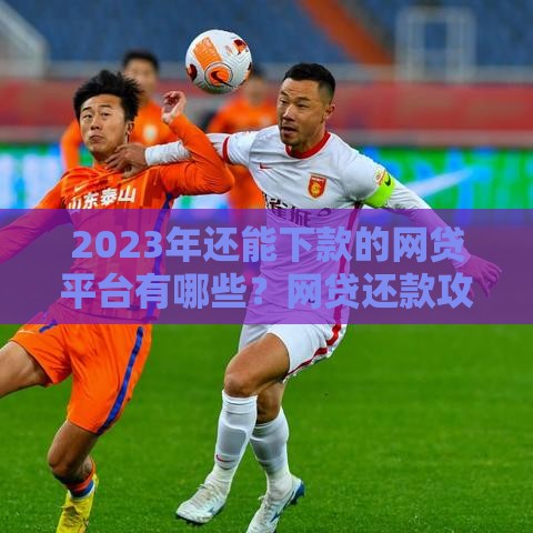 2023年还能下款的网贷平台有哪些？网贷还款攻略全解析