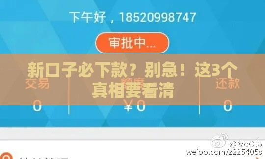 新口子必下款？别急！这3个真相要看清
