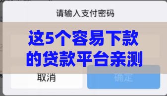 这5个容易下款的贷款平台亲测有效