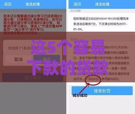这5个容易下款的贷款平台亲测有效