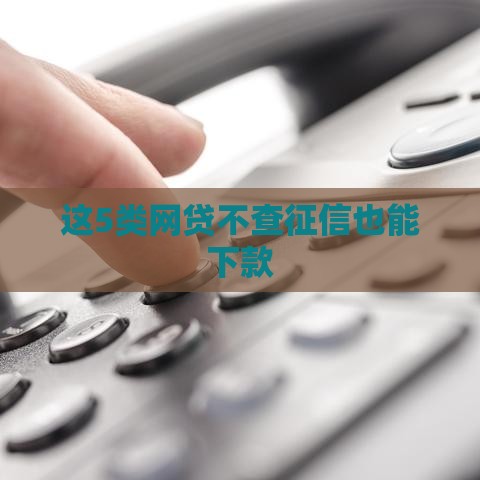 这5类网贷不查征信也能下款