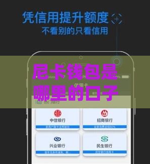 尼卡钱包是哪里的口子？这平台靠谱吗？一文深度解析！