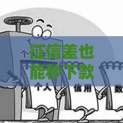 征信差也能秒下款？这5个平台实测攻略