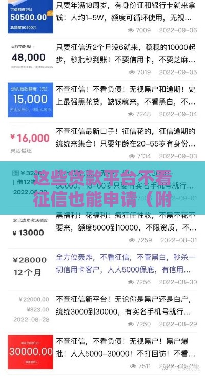 这些贷款平台不看征信也能申请（附避坑指南）