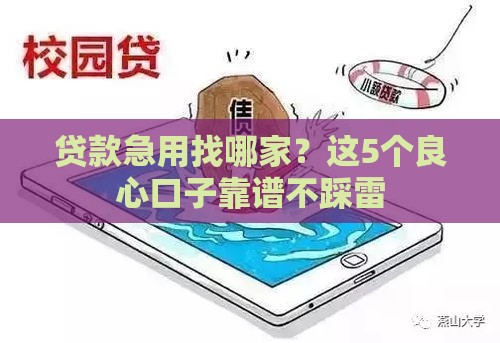 贷款急用找哪家？这5个良心口子靠谱不踩雷