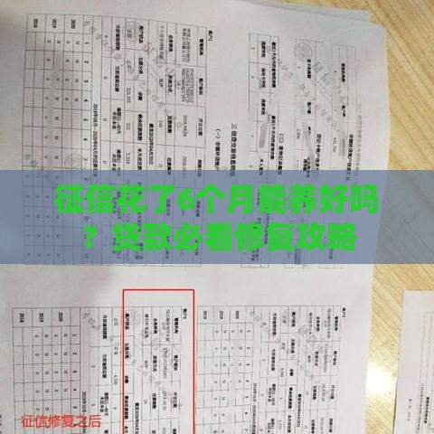 征信花了6个月能养好吗？贷款必看修复攻略
