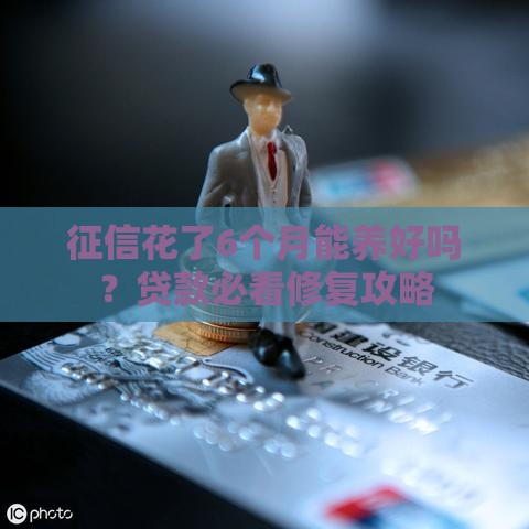 征信花了6个月能养好吗？贷款必看修复攻略