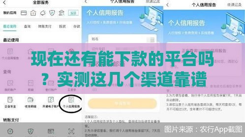 现在还有能下款的平台吗？实测这几个渠道靠谱