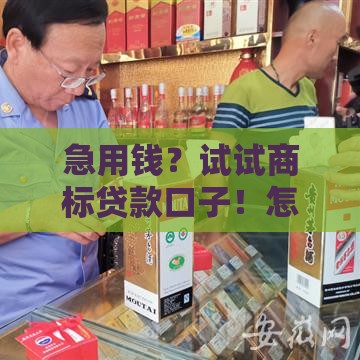 急用钱？试试商标贷款口子！怎么选才靠谱？这篇攻略告诉你答案