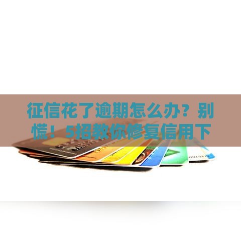 征信花了逾期怎么办?别慌!5招教你修复信用下卡不难 征信花了逾期怎么办?别慌!5招教你修复信用下卡不难