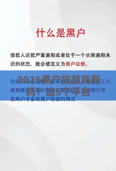 2025黑户贷款真有吗？这5个平台