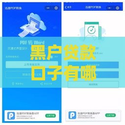 黑户贷款口子有哪些？这5个渠道或许能解燃眉之急