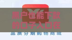 黑户也能下款的口子入口在这里，实测有效！