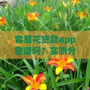 容易花贷款app靠谱吗？实测分析这几点要看清