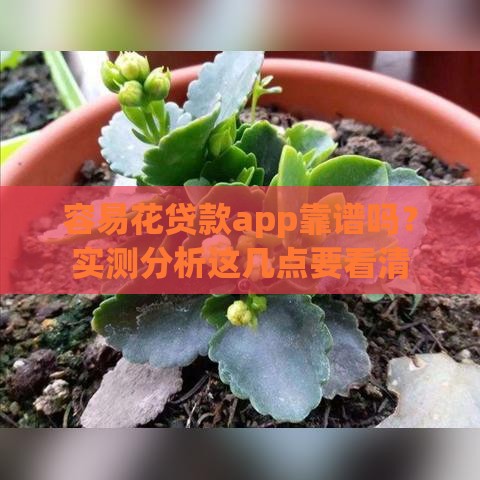 容易花贷款app靠谱吗？实测分析这几点要看清