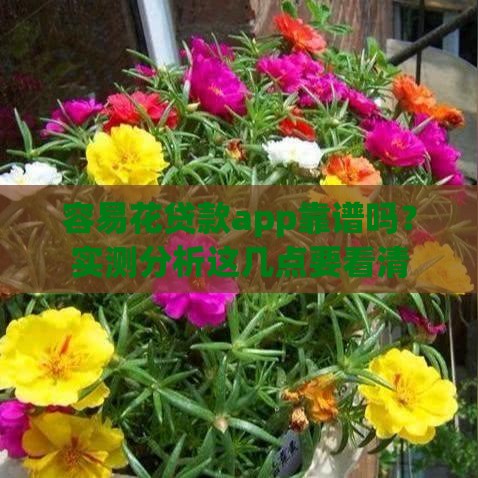 容易花贷款app靠谱吗？实测分析这几点要看清