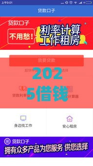 2025借钱口子哪家强？最新贷款攻略助你秒下款！