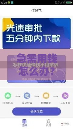 急需用钱怎么办？免审核贷款秒下攻略，手把手教你避坑！