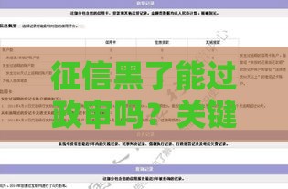 征信黑了能过政审吗？关键细节解析