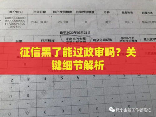 征信黑了能过政审吗？关键细节解析