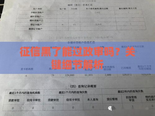 征信黑了能过政审吗？关键细节解析