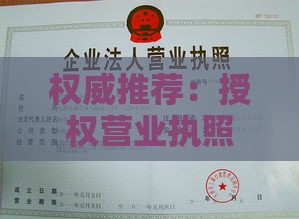 权威推荐：授权营业执照借款口子有哪些？手把手教你避坑！