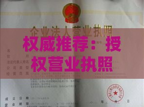 权威推荐：授权营业执照借款口子有哪些？手把手教你避坑！