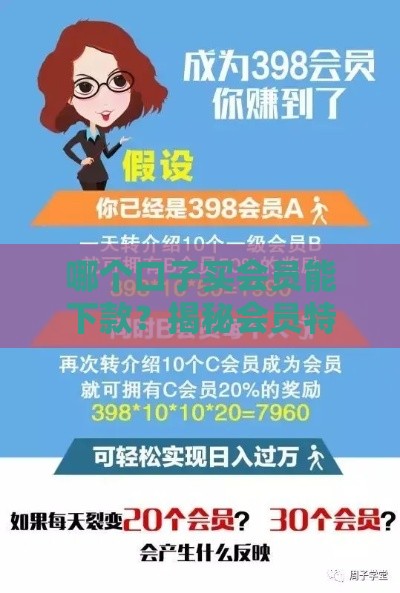 哪个口子买会员能下款？揭秘会员特权背后的下款逻辑！
